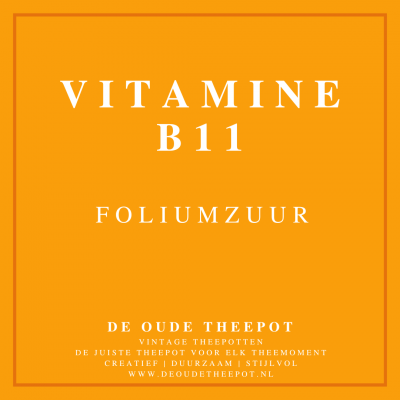 VTM009-VITAMINE-B11-FOLIUMZUUR-VITAMINEN-FYTONUTRIËNTEN